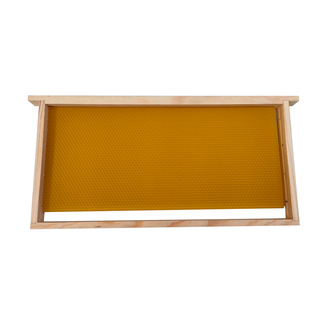 Quadro Ninho/Alça Langstroth com Cera