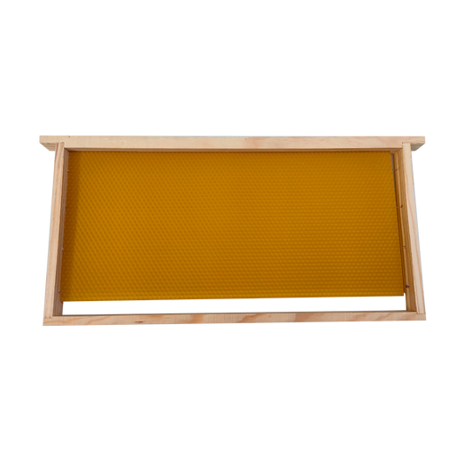 Quadro Ninho/Alça Langstroth com Cera